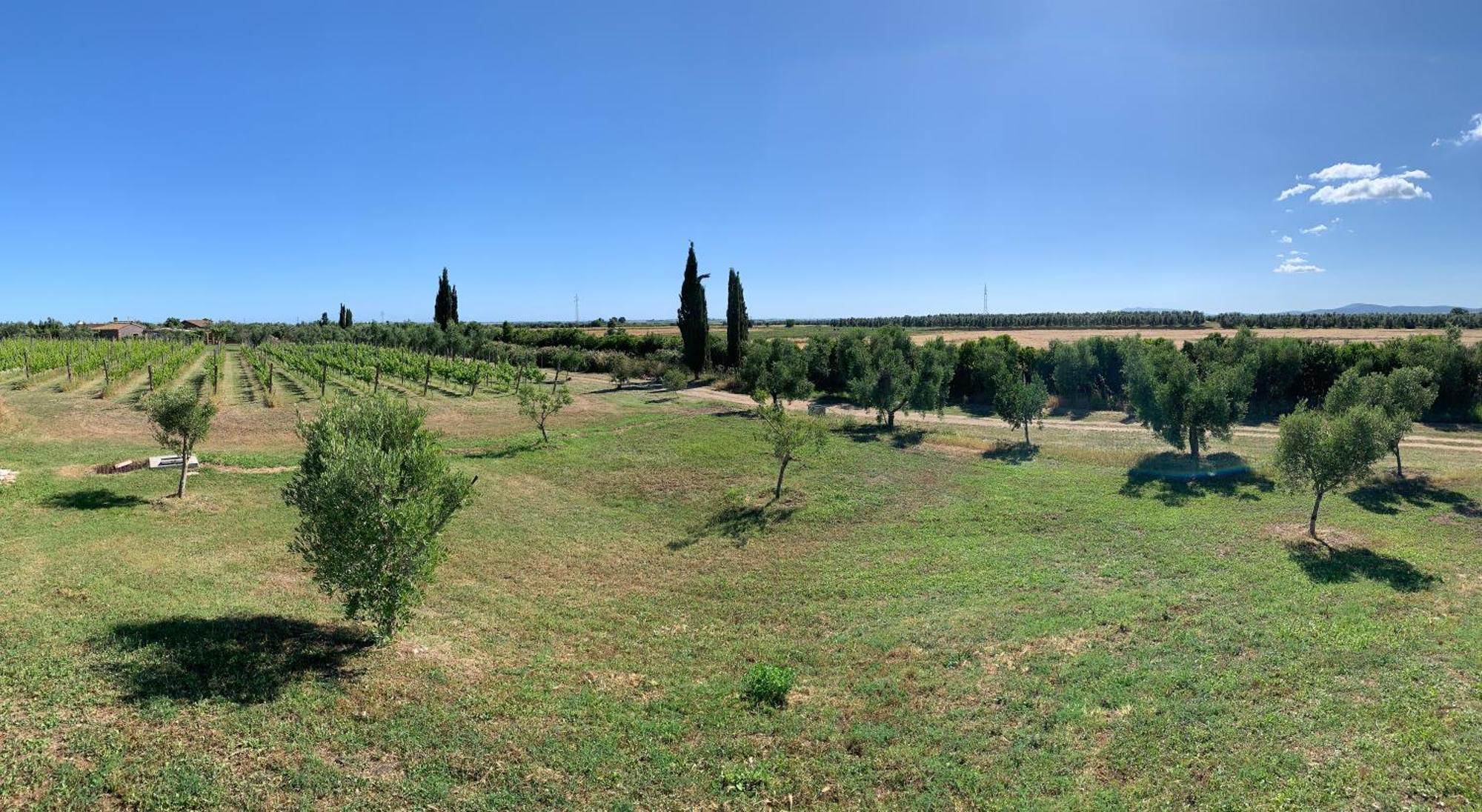Resort Fonte Vulci Canino Exterior photo